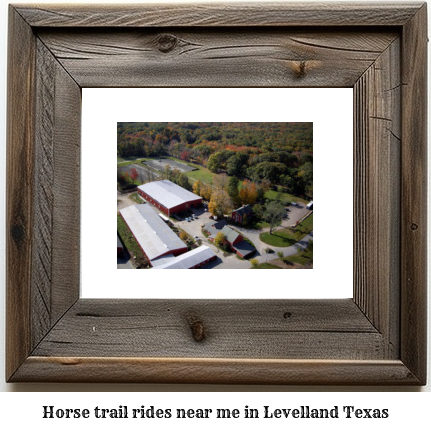 horse trail rides near me in Levelland, Texas